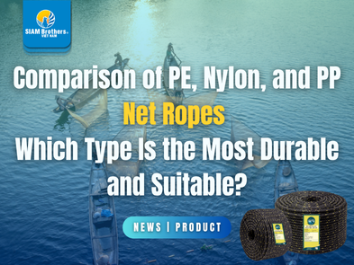 So sánh dây giềng lưới PE, Nylon, PP – Loại nào bền và phù hợp nhất?