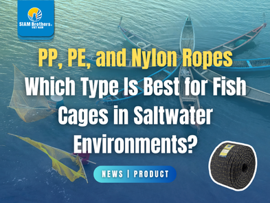 PP, PE, and Nylon Ropes — Which Type Is Best for Fish Cages in Saltwater Environments?