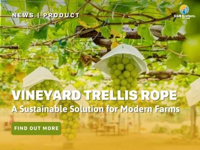 Vineyard Trellis Rope – A Sustainable Solution for Modern Farms