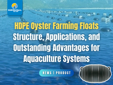 HDPE Oyster Farming Floats Structure, Applications, and Outstanding Advantages for Aquaculture Systems