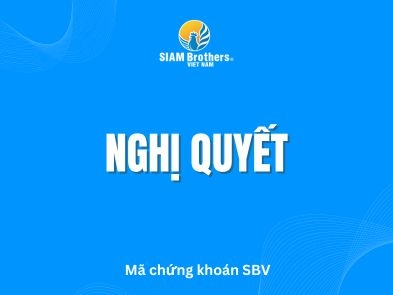 Cập nhật nghị quyết phát hành cổ phiếu chi trả cổ tức năm 2024