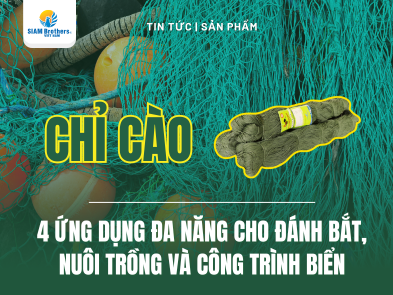 Chỉ Cào PE Con Gà – Hải Mã: Đa Ứng Dụng Cho Đánh Bắt, Nuôi Trồng và Công Trình Biển