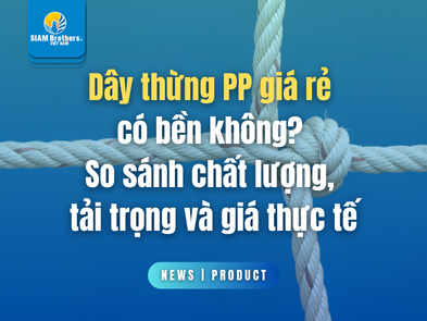 Dây thừng PP giá rẻ có bền không? So sánh chất lượng, tải trọng và giá thực tế