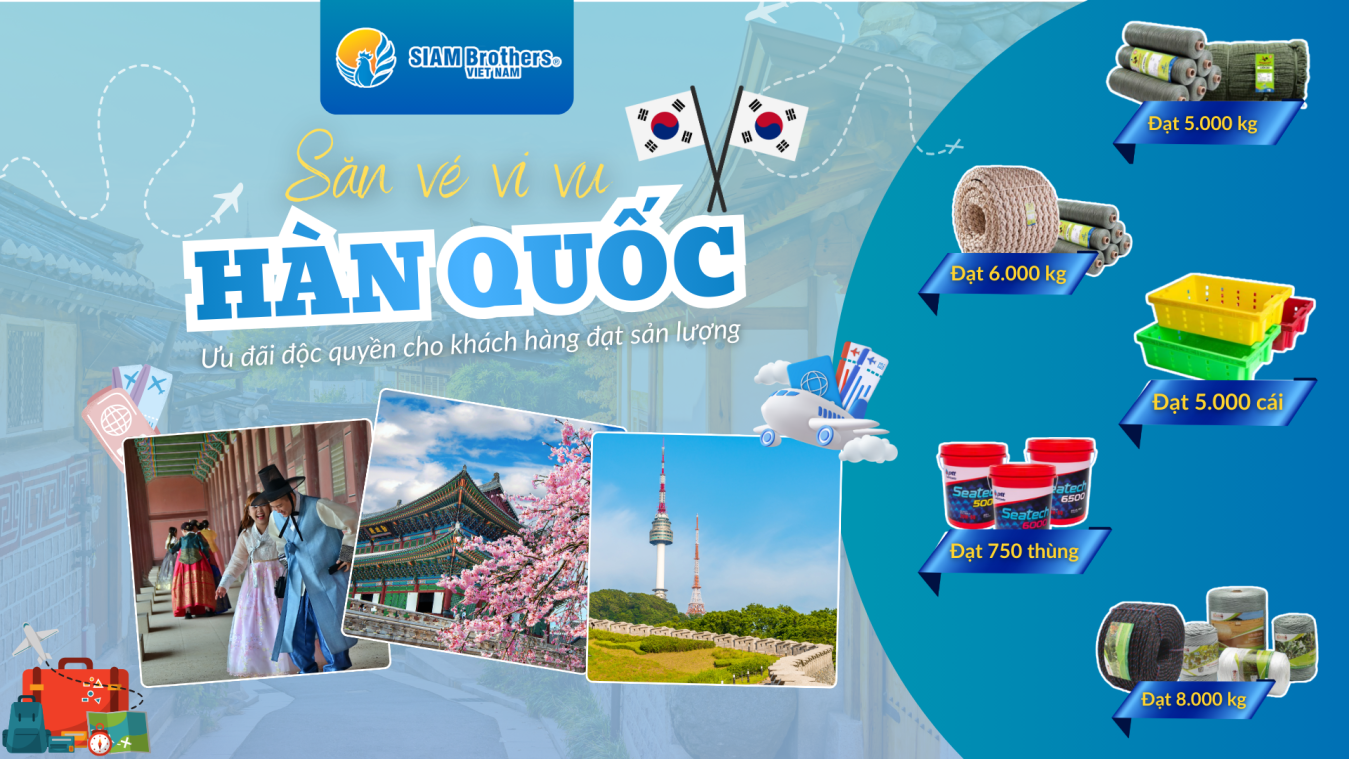 CHINH PHỤC SẢN LƯỢNG - RINH VÉ VI VU XỨ HÀN CÙNG SIAM BROTHERS VIỆT NAM!