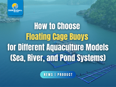How to Choose Floating Cage Buoys for Different Aquaculture Models (Sea, River, and Pond Systems)