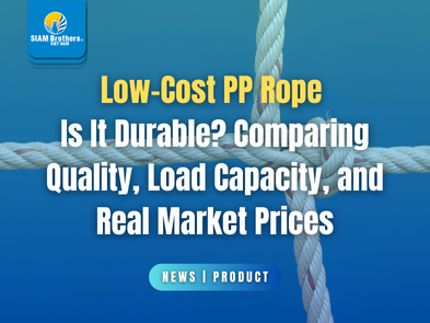 Low-Cost PP Rope: Is It Durable? Comparing Quality, Load Capacity, and Real Market Prices