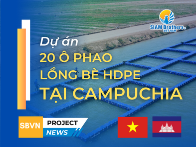 Dự án 20 ô phao lồng bè HDPE tại Campuchia – Giải pháp cách mạng cho bè nuôi cá hiện đại