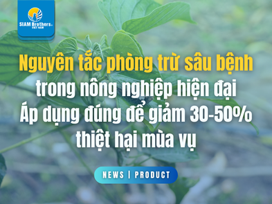 Nguyên tắc phòng trừ sâu bệnh trong nông nghiệp hiện đại: Áp dụng đúng để giảm 30-50% thiệt hại mùa vụ