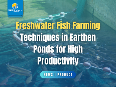 Freshwater Fish Farming Techniques in Earthen Ponds for High Productivity