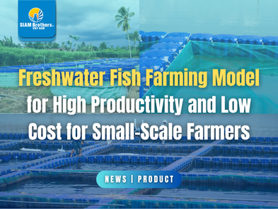 Freshwater Fish Farming Model for High Productivity and Low Cost for Small-Scale Farmers
