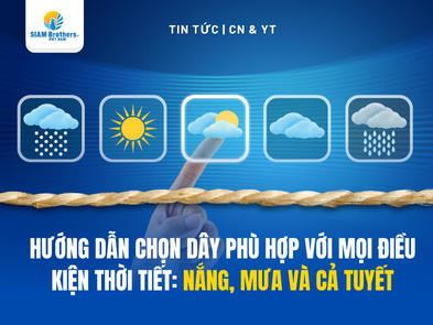 Hướng Dẫn Chọn Dây Phù Hợp Với Mọi Điều Kiện Thời Tiết: Nắng, Mưa Và Cả Tuyết