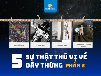 5 Sự Thật Thú Vị Về Dây Thừng (Phần 2)