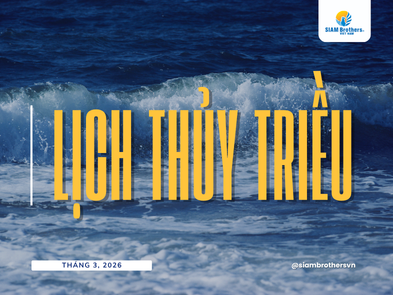 Lịch thủy triều 03/04/2026 (16/02/2026 âm lịch)