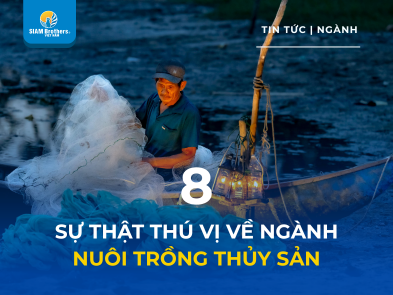  8 Sự Thật Thú Vị Về Ngành Nuôi Trồng Thủy Sản