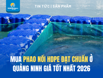Mua Phao Nổi HDPE Đạt Chuẩn Ở Quảng Ninh Giá Tốt Nhất 2026