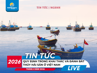 2026: Quy Định Mới Nhất Về Khai Thác Đánh Bắt Thủy Hải Sản Việt Nam