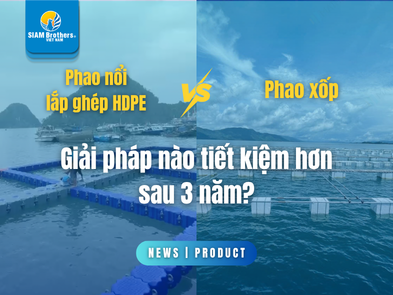 Phao nổi lắp ghép HDPE với phao xốp: Giải pháp nào tiết kiệm hơn sau 3 năm?