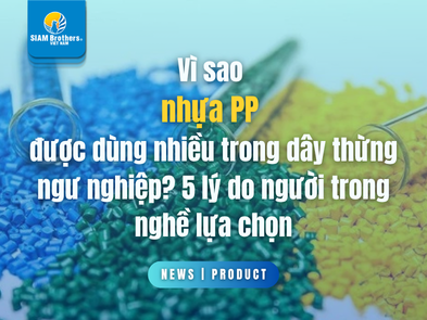 Vì sao nhựa PP được dùng nhiều trong dây thừng ngư nghiệp? 5 lý do người trong nghề lựa chọn