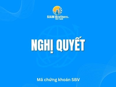 Nghị quyết HĐQT và Báo cáo đợt phát hành cổ phiếu trả cổ tức năm 2024