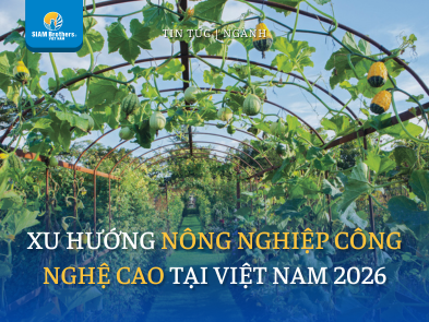 Xu hướng nông nghiệp công nghệ cao Việt Nam 2026