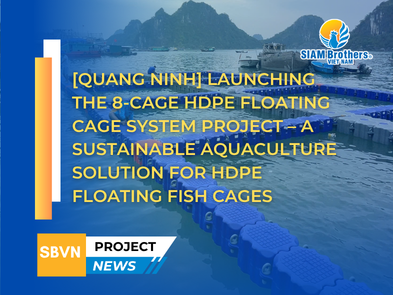[Quang Ninh] Launching the 8-Cage HDPE Floating Cage System Project – A Sustainable Aquaculture Solution for HDPE Floating Fish Cages