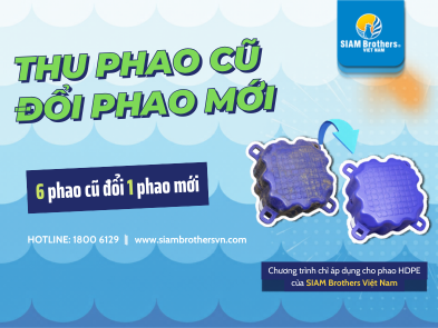 Chương trình thu hồi phao cũ - Đổi lấy phao HDPE mới tại SIAM Brothers Việt Nam
