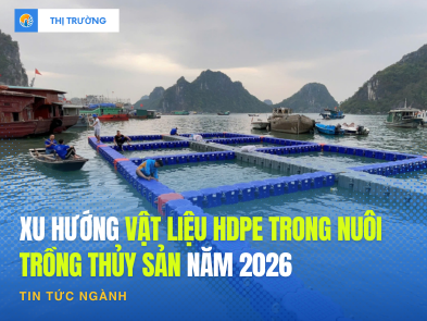Xu hướng vật liệu HDPE trong nuôi trồng thủy sản và tương lai nuôi biển công nghiệp tại Việt Nam