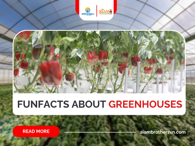 10 Interesting Facts About Greenhouses You May Have Never Known