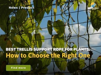 Best Trellis Support Rope for Plants: How to Choose the Right One