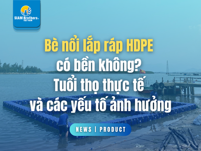 Bè nổi lắp ráp HDPE có bền không? Tuổi thọ thực tế và các yếu tố ảnh hưởng