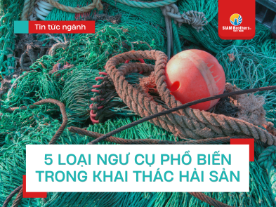 5 Loại Ngư Cụ Phổ Biến Trong Khai Thác Hải Sản: Cấu Tạo, Đặc Điểm Và Ứng Dụng