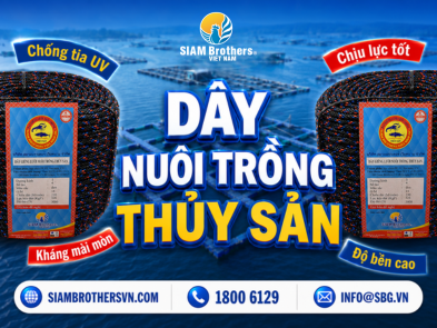 Dây Nuôi Trồng Thủy Sản Là Gì? Ứng Dụng Trong Nuôi Hàu, Nuôi Trai Và Lồng Bè