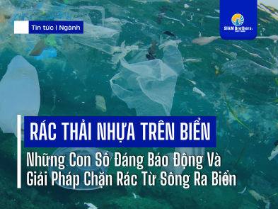 Rác Thải Nhựa Trên Biển: Những Con Số Đáng Báo Động Và Giải Pháp Chặn Rác Từ Sông Ra Biển