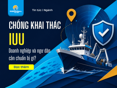 Chống khai thác IUU: Doanh nghiệp và ngư dân cần chuẩn bị gì?