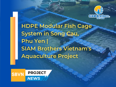 HDPE Modular Fish Cage System in Song Cau, Phu Yen | SIAM Brothers Vietnam's Aquaculture Project