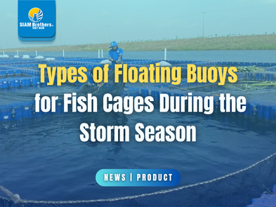 Types of Floating Buoys for Fish Cages During the Storm Season