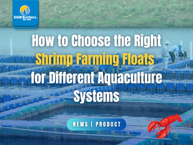 How to Choose the Right Shrimp Farming Floats for Different Aquaculture Systems