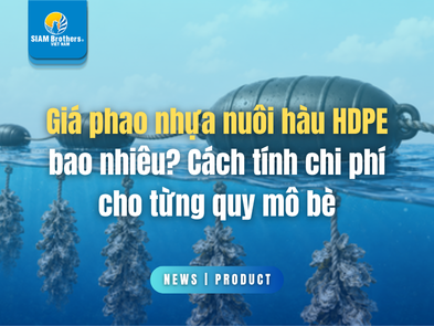 Giá phao nhựa nuôi hàu HDPE bao nhiêu? Cách tính chi phí cho từng quy mô bè