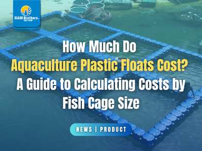 How Much Do Aquaculture Plastic Floats Cost? A Guide to Calculating Costs by Fish Cage Size