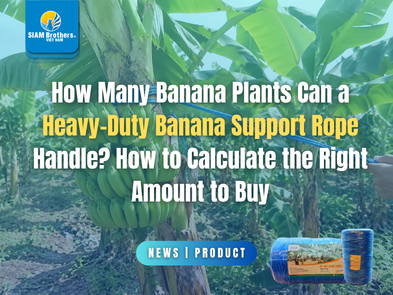 How Many Banana Plants Can a Heavy-Duty Banana Support Rope Handle? How to Calculate the Right Amount to Buy