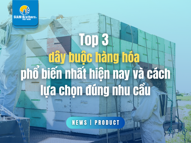Top 3 loại dây buộc hàng hóa phổ biến nhất hiện nay và cách lựa chọn đúng nhu cầu