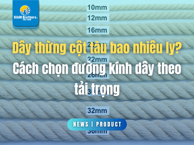 Dây thừng cột tàu bao nhiêu ly? Cách chọn đường kính dây theo tải trọng