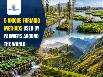 5 Unique Farming Methods Used by Farmers Around the World