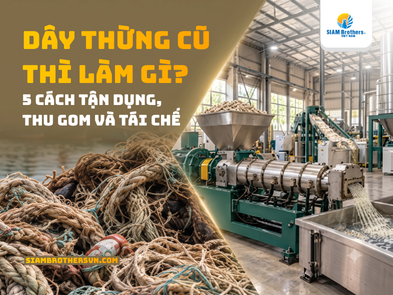 Dây thừng không dùng nữa: Nên giữ lại, tái chế hay bỏ đi?