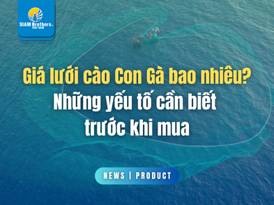 Giá lưới cào Con Gà bao nhiêu? Những yếu tố cần biết trước khi mua